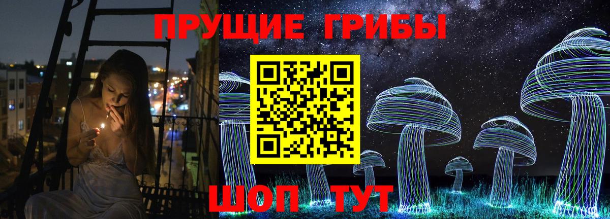 Псилоцибиновые грибы Cubensis  Вход с VPN  Йошкар-Ола 