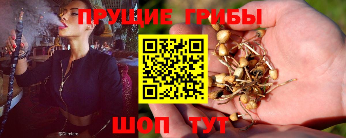 Галлюциногенные грибы Magic Shrooms Йошкар-Ола